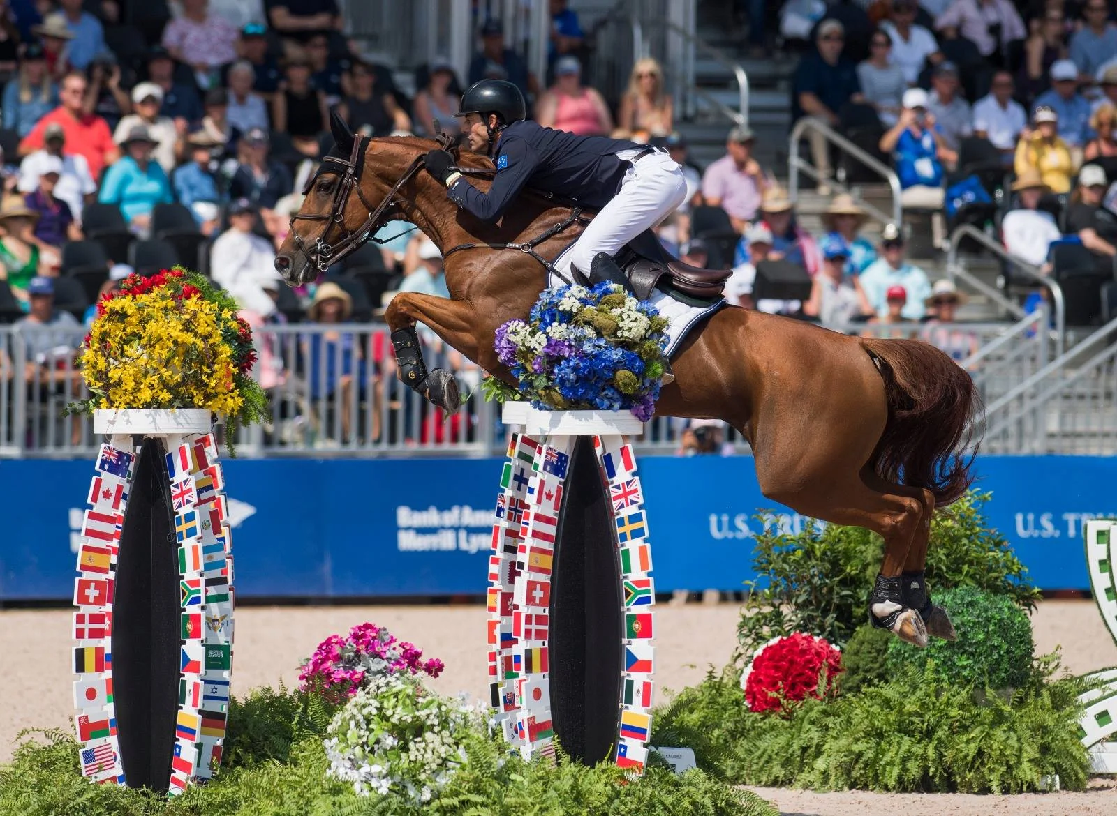 Blue Movie & Rowan at the World Equestrian Games in Tryon, 2018