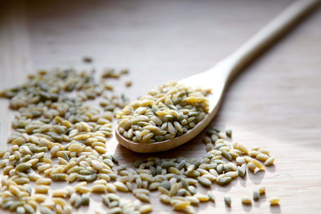 Flour-City-Pasta-Primavera-Orzo