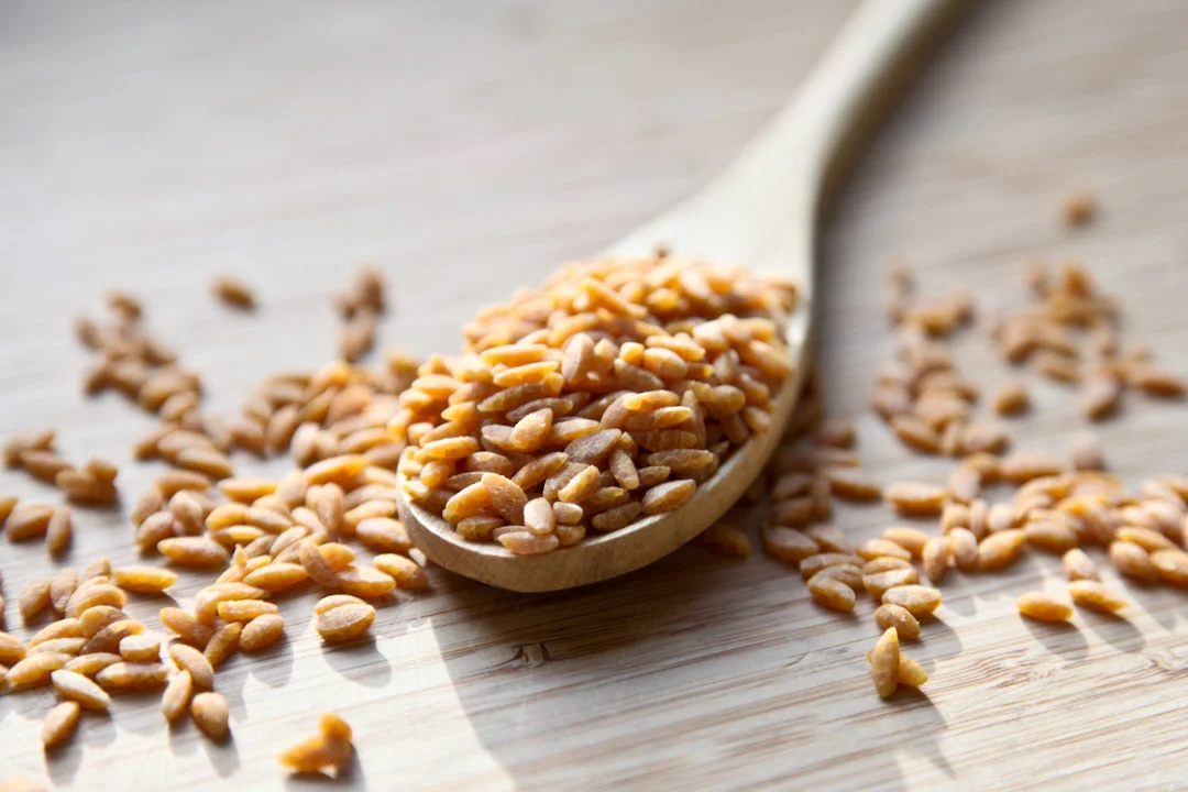 Flour-City-Pasta-Sweet-Potato-Orzo