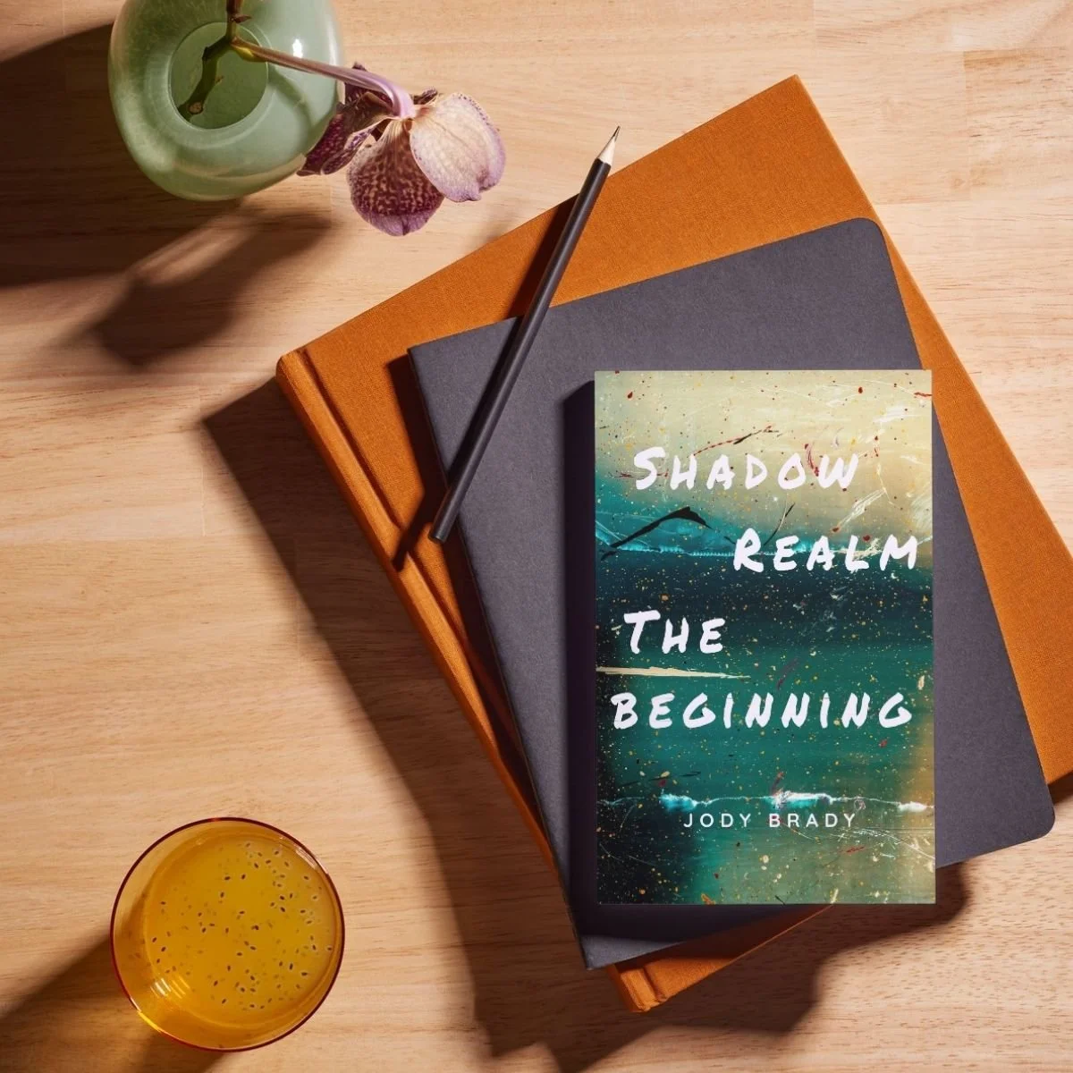 Shadow-Real-The-Beginning-Soft-Cover.jpg