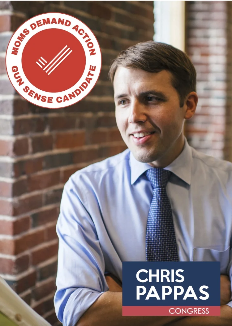 Gun sense Chris copy.jpg