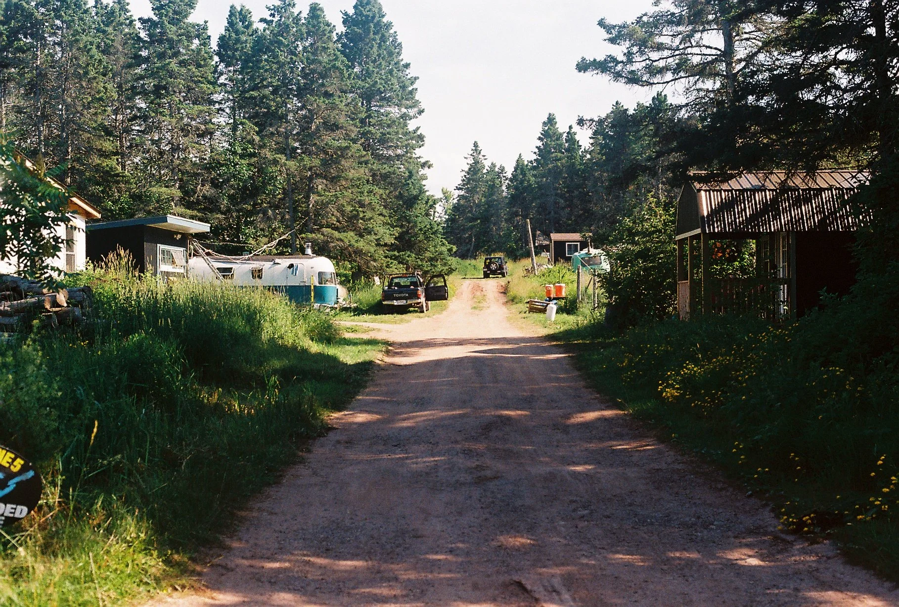 middle road farm scout1.JPG