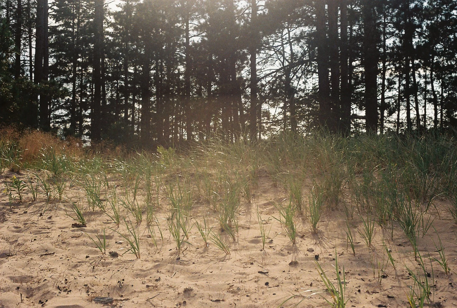 sand beach scout4.JPG