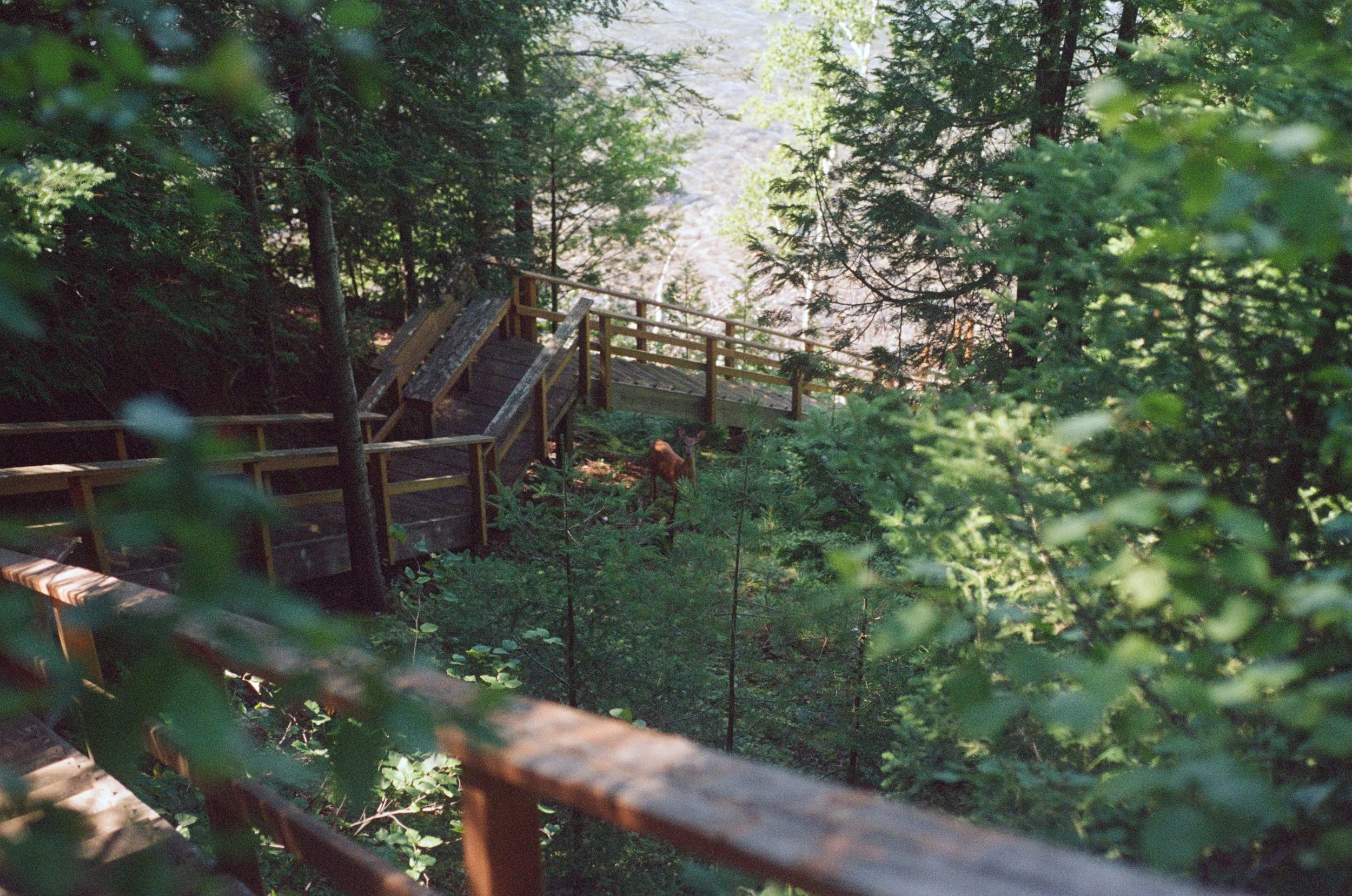 kodak_professional_portra_800_07_27_2024_000341270023 copy.jpg