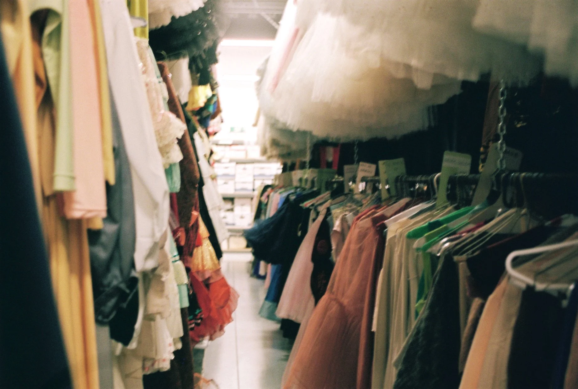 SP002289-13A copy.jpg