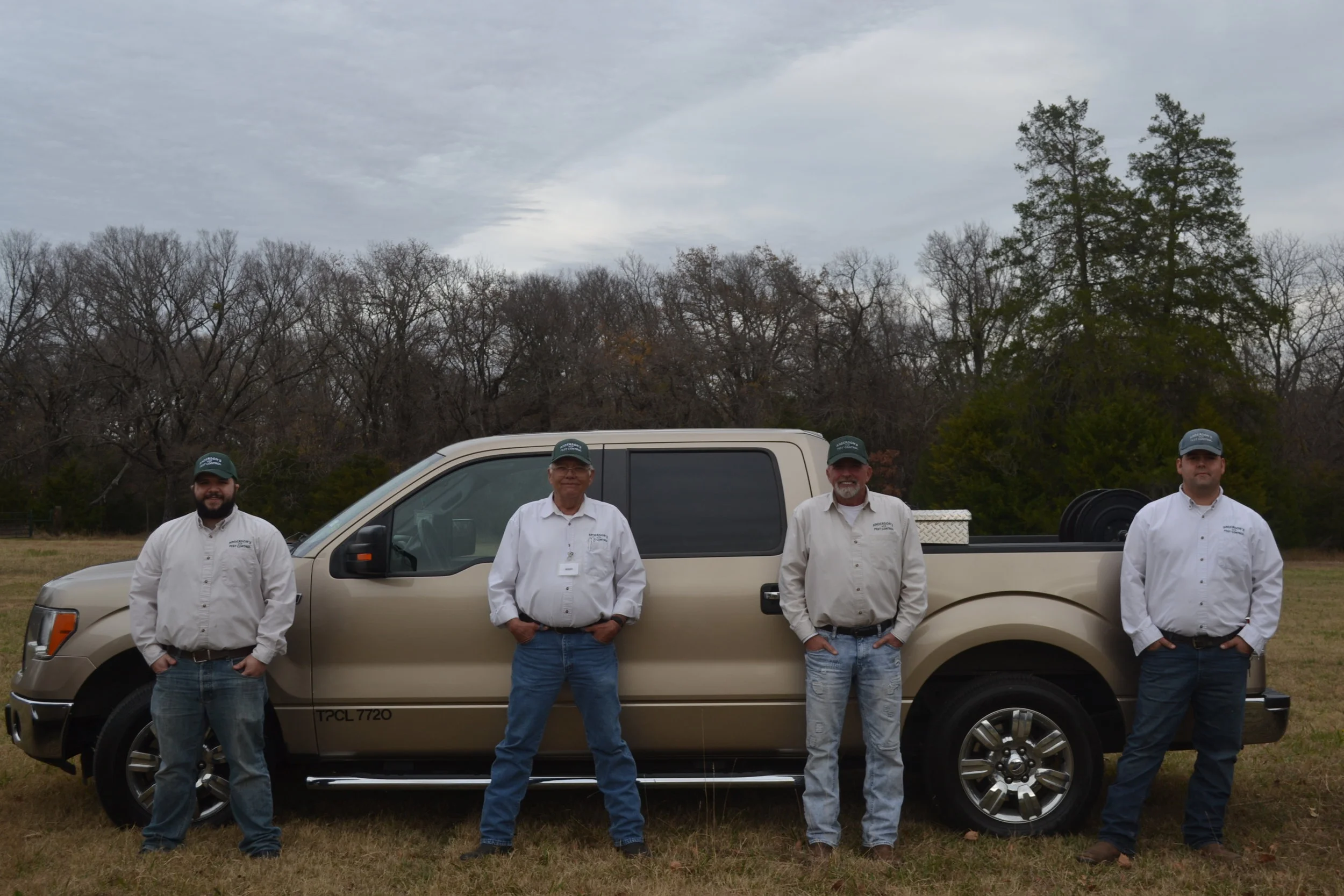 Termites and Your Home