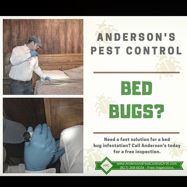 Bed bugs keeping you up at night? If so, don't worry our bed bug treatment is guaranteed to take care of your problem. We offer free inspections, give us a call today!  #pestcontroldfw #pestcontrol #dallaspestcontrol #fortworthpestcontrol #dfw #dalla