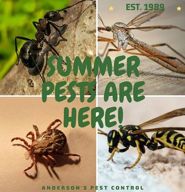 Enjoy a pest free summer, call us today to book your appointment. (817) 269-6034