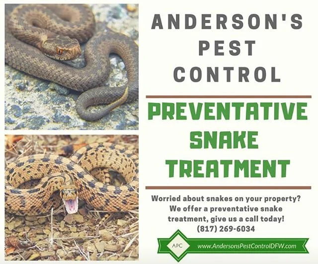 Don&rsquo;t like snakes around the house? We can help! Call us today, (817) 269-6034. #snakes #dfwpestcontrol #snakecontrol #arlingtontx #burlesontx #dfw #dallas #fortworth #cleburnetx #pestcontroldfw #alvaradotx #snakebite #texaspestcontrol #metropl