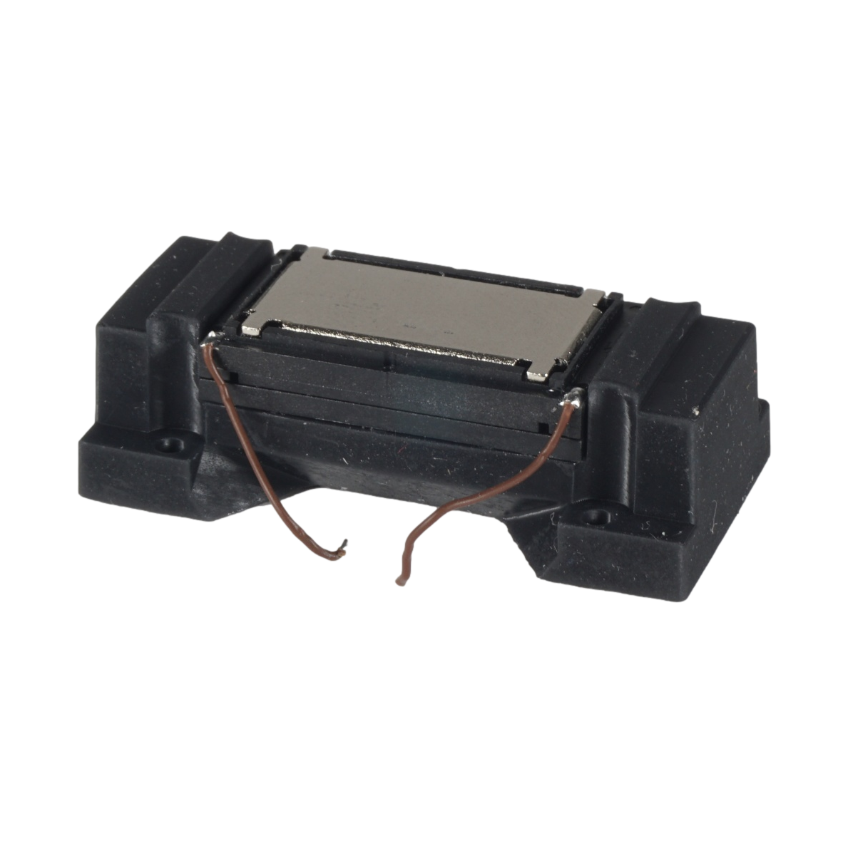 DSC07583_clipped_rev_1.png