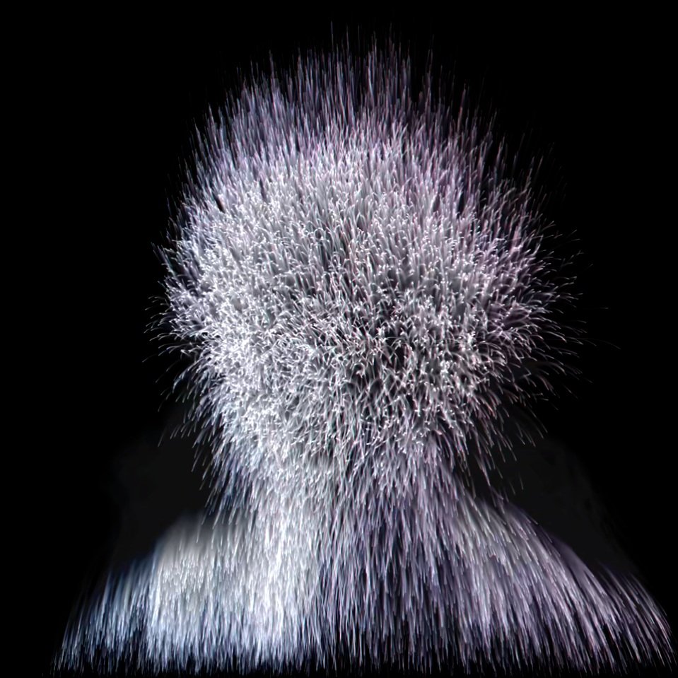 A STATE OF UNCERTAINTY