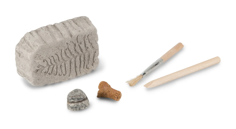 Fossil Dig Kit