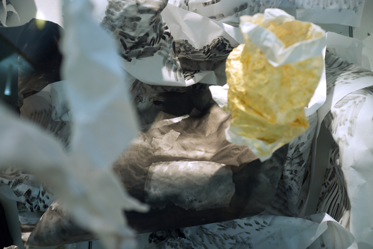 DSCF7756a.jpg