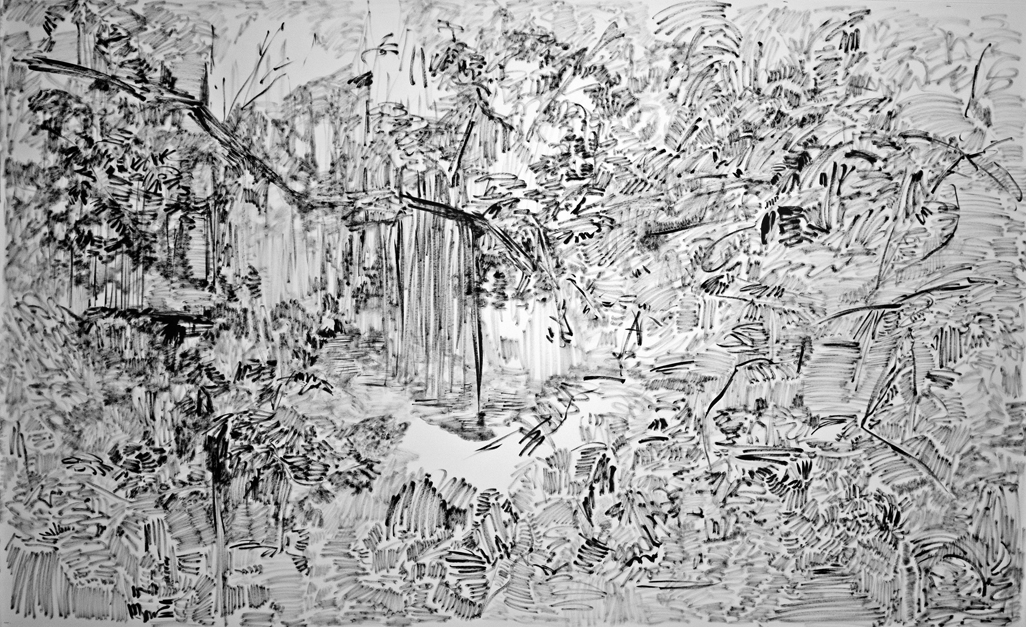 The Hidden Dimension and Other Observations No. 133, 2016-2017; ink on paper; 60x96 in.