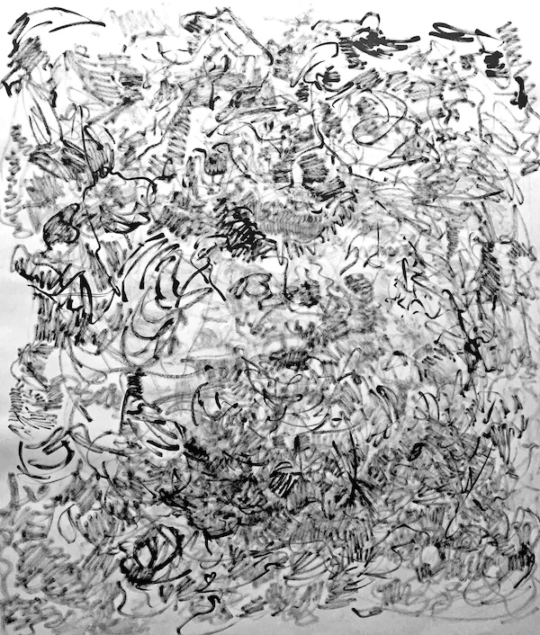 fei-li-1-entanglement-trial-0.jpg