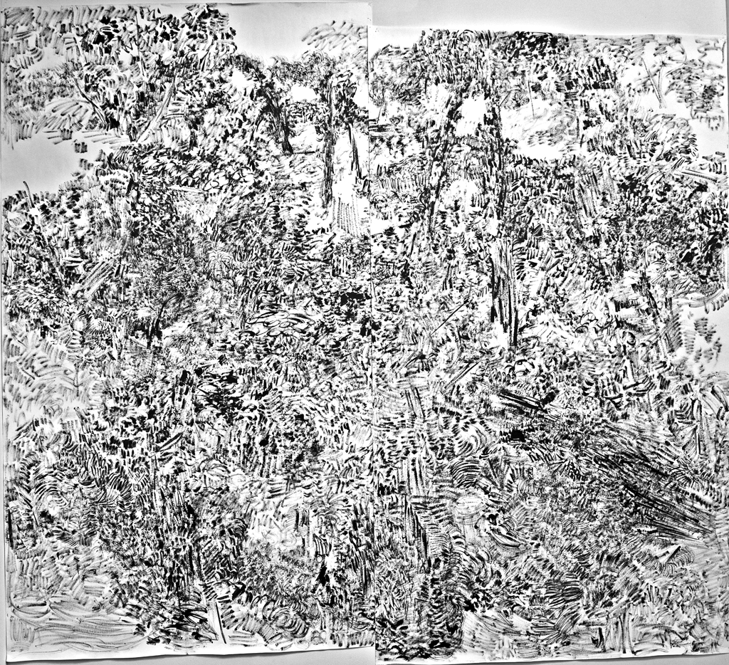 The Hidden Dimension and Other Observations No. 102, 2016-2017; ink on paper; 96”x85”.