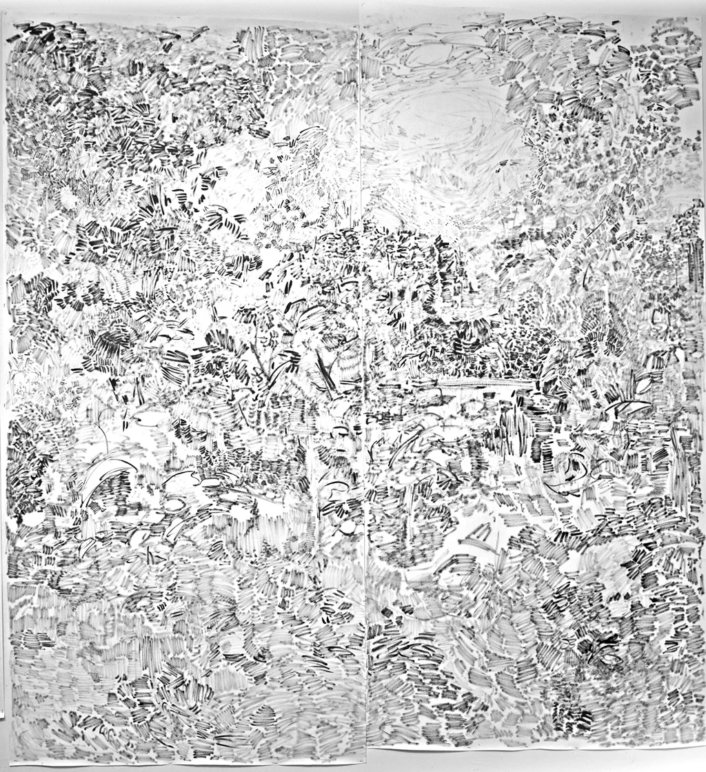 The Hidden Dimension and Other Observations No. 150, 2016-2017; ink on paper; 96”x100”