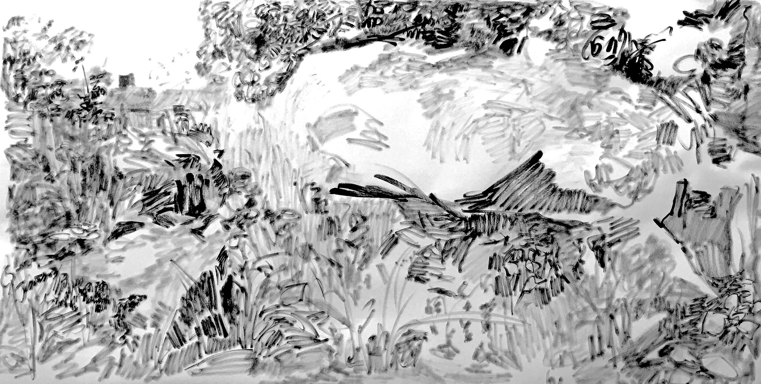 ink on paper, 36 x 80 inches