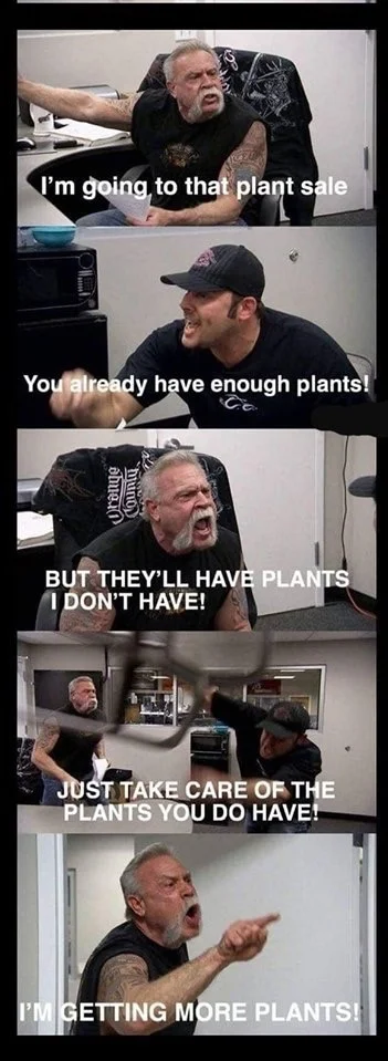 pix House Full Of Plants Meme plant shops in portland oregon