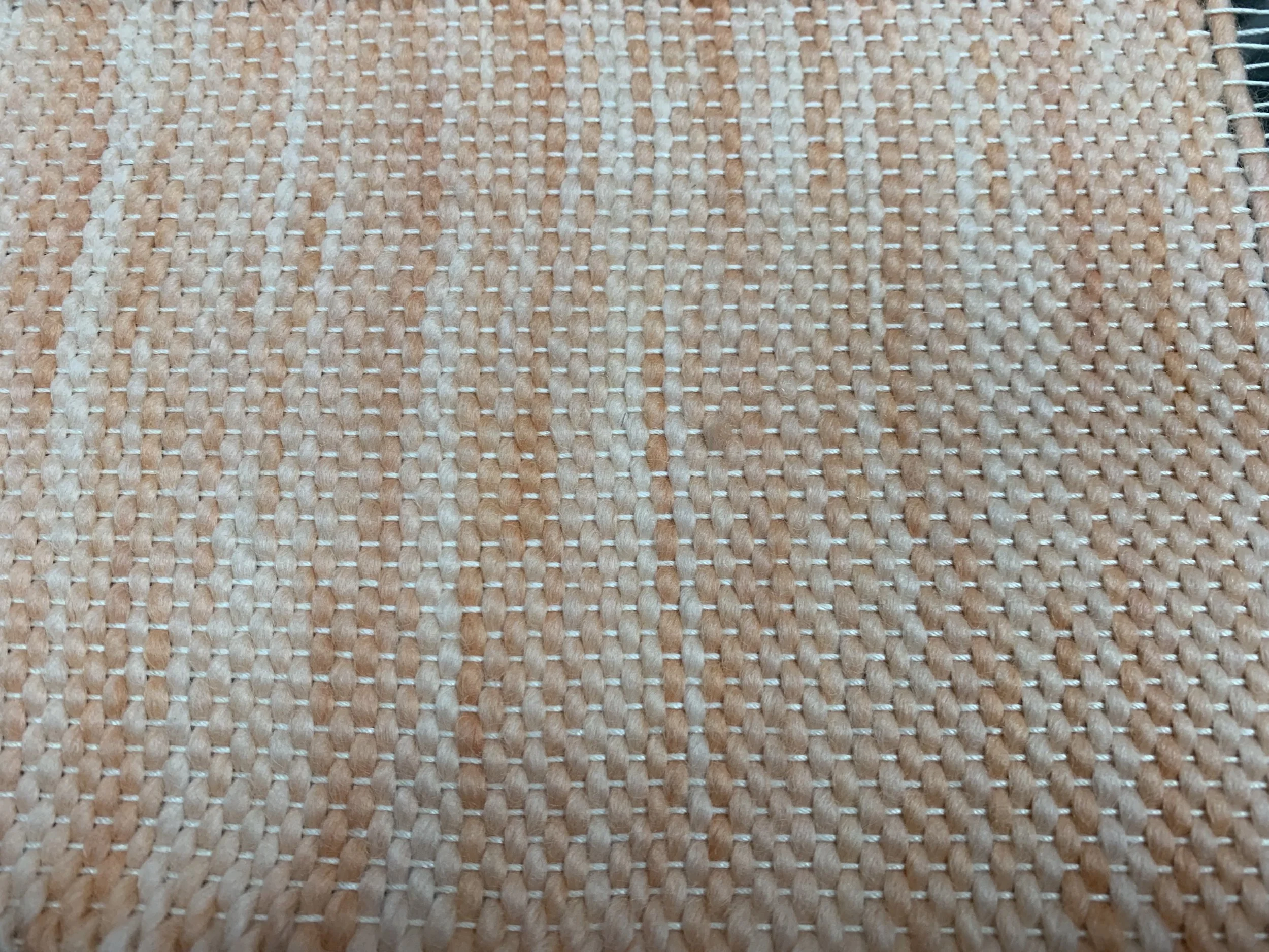 fullsizeoutput_3356.jpeg