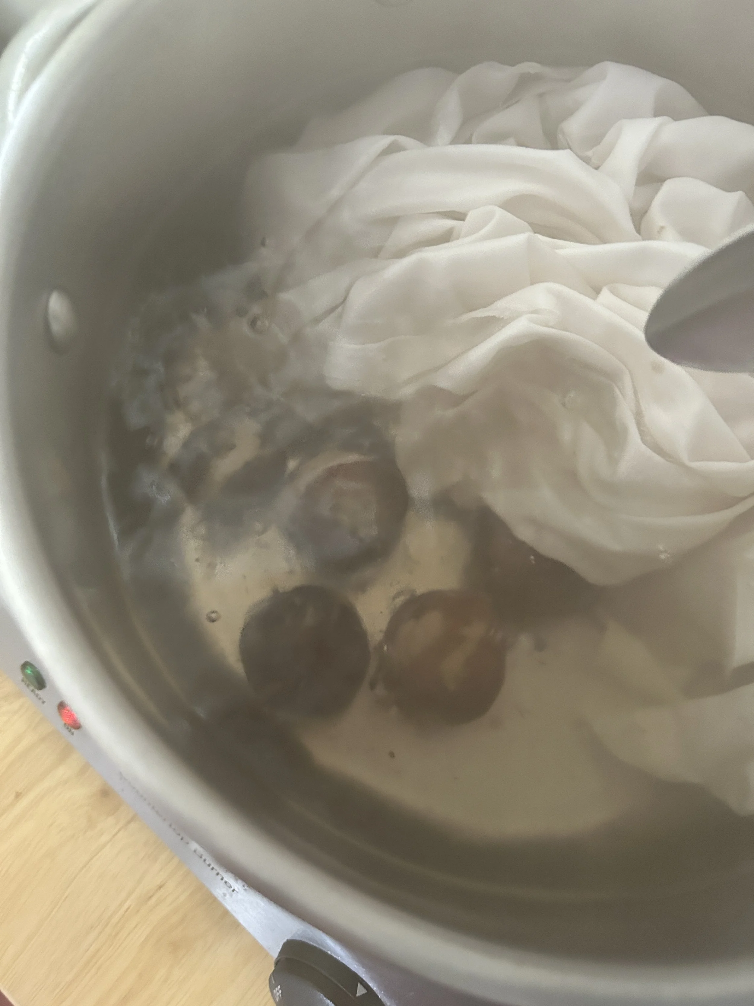 IMG_3115.jpeg