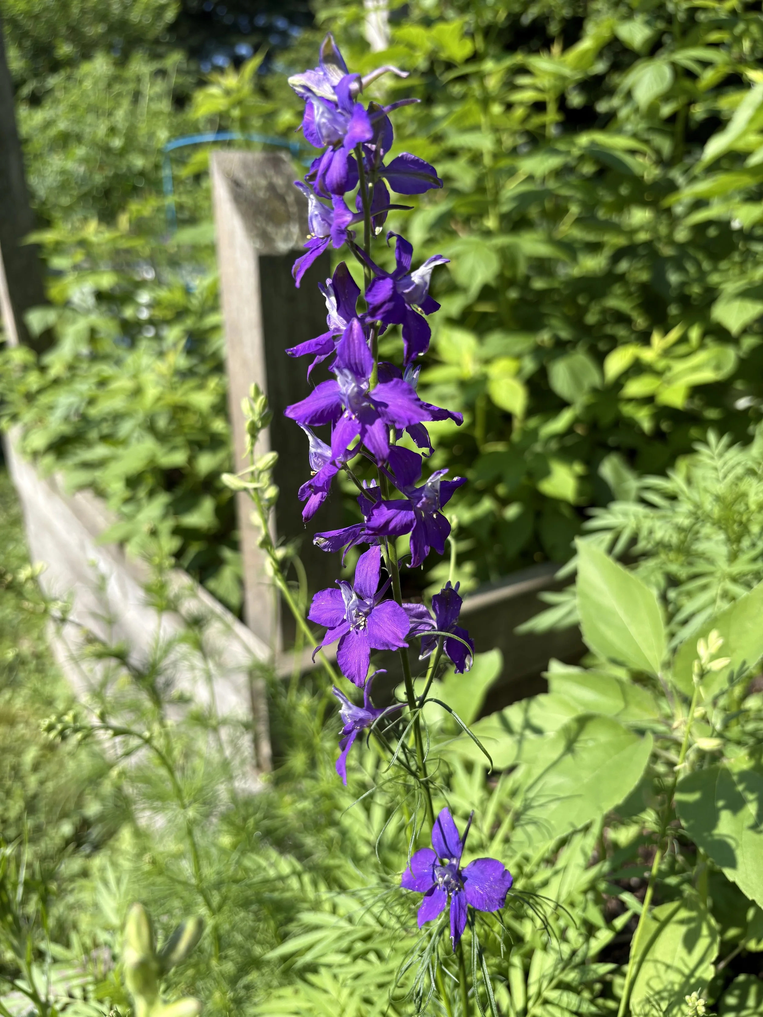 IMG_1565.jpeg