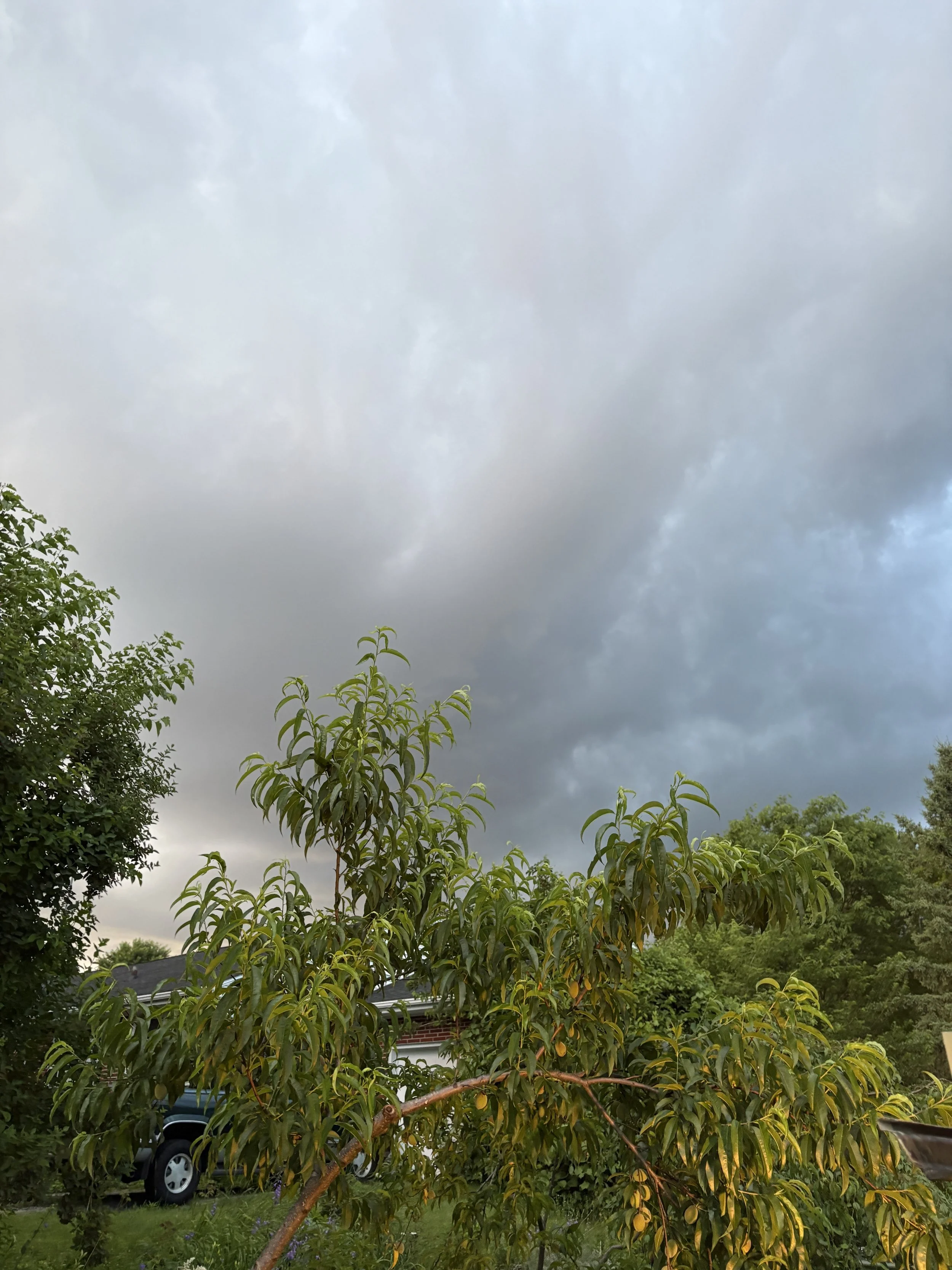 IMG_1538.jpeg