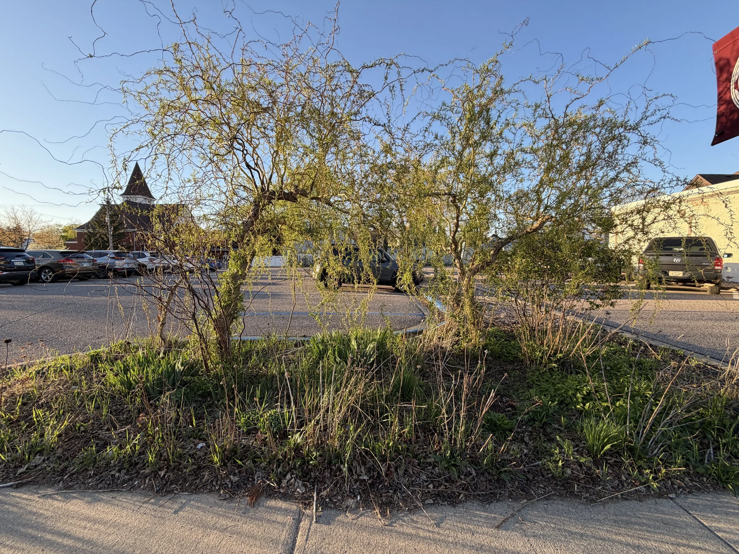 IMG_0433.jpeg