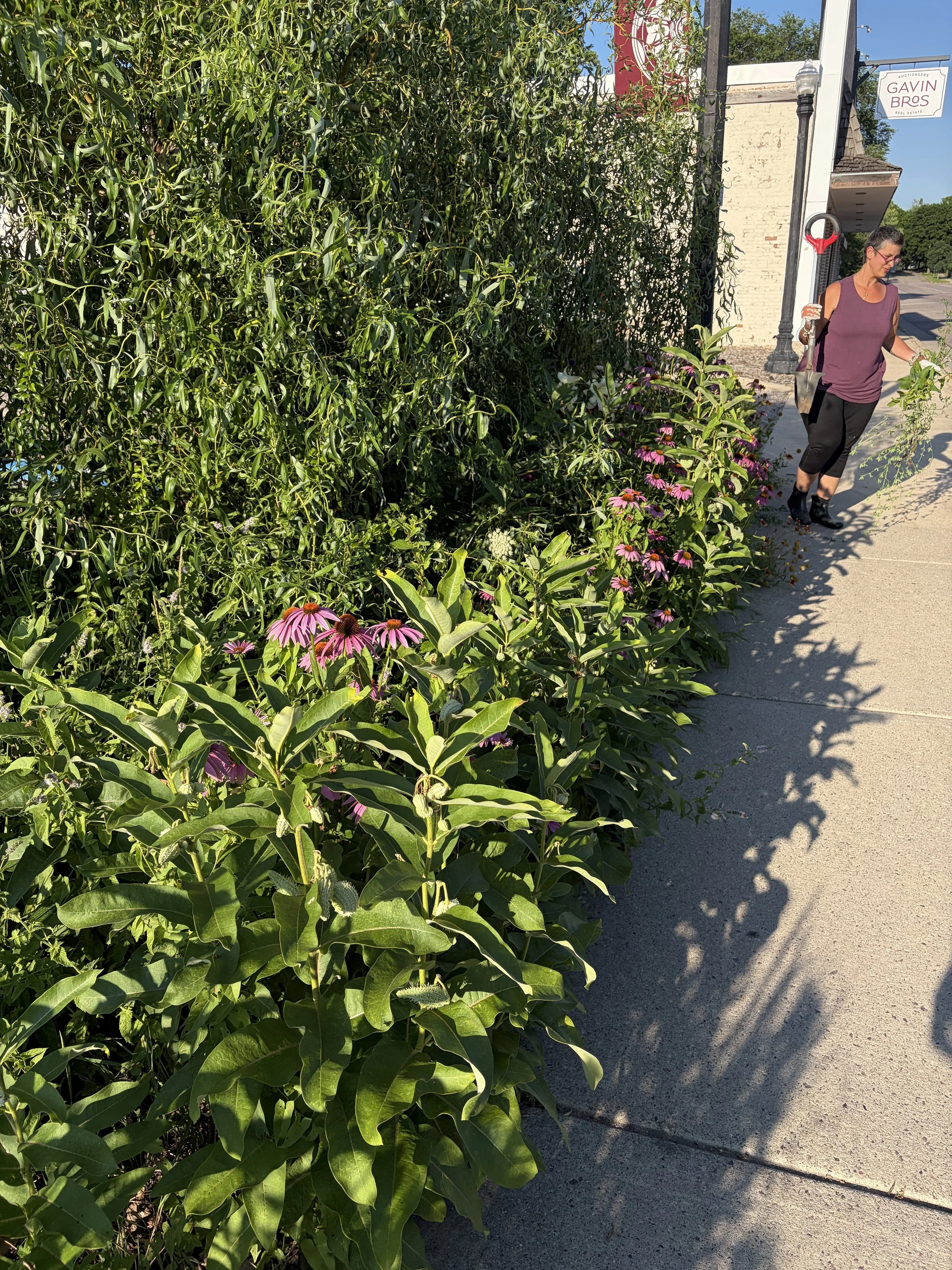 IMG_4318.jpeg