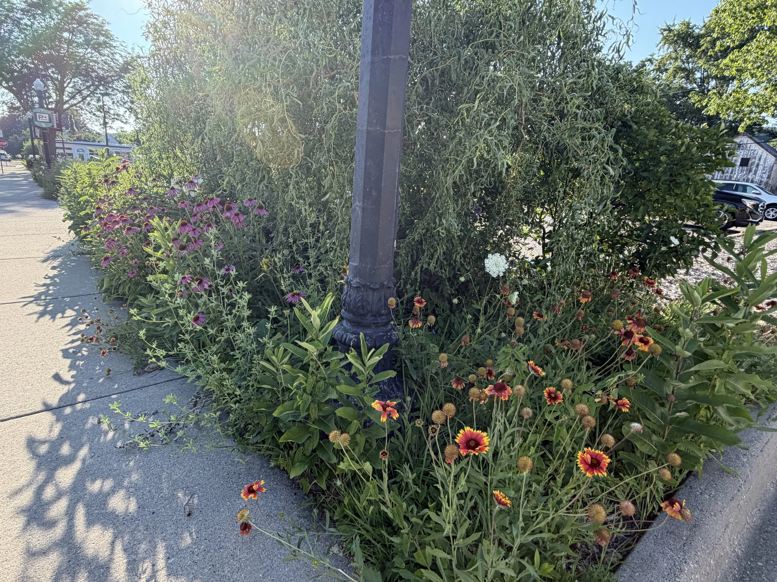 IMG_4310.jpeg