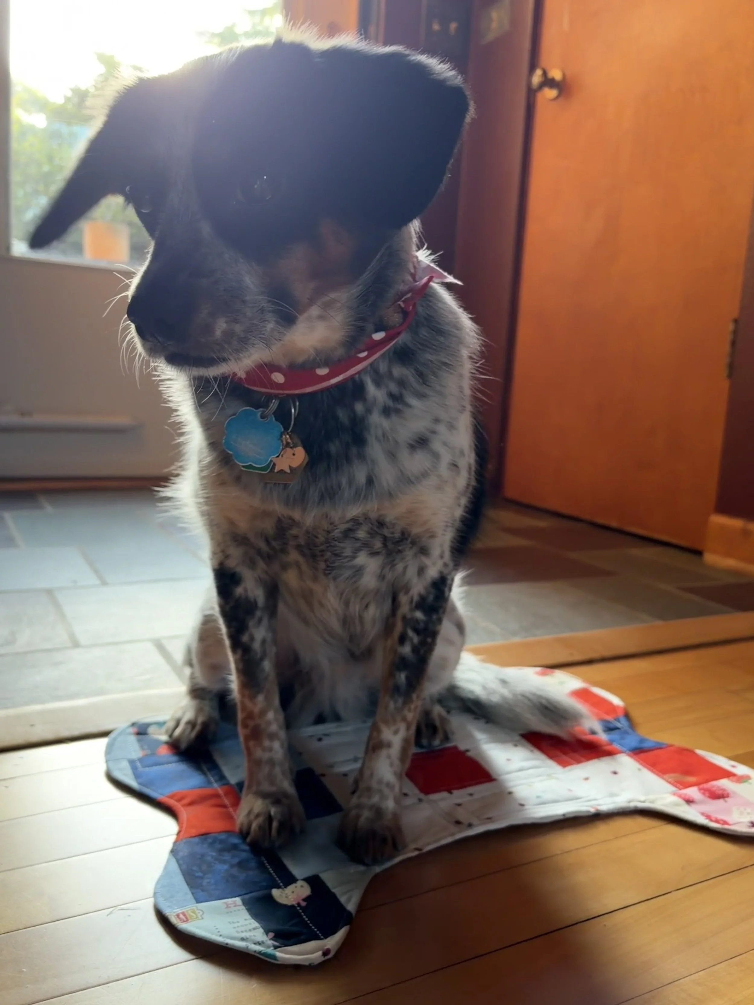 IMG_3848.jpeg