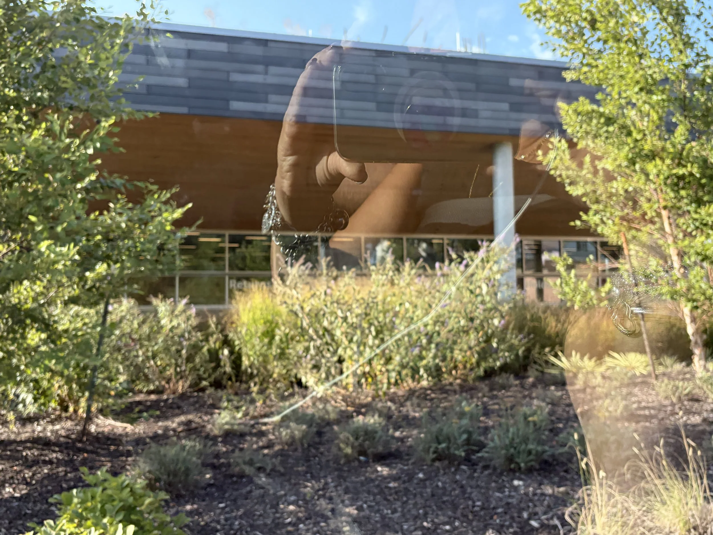 IMG_6376.jpeg