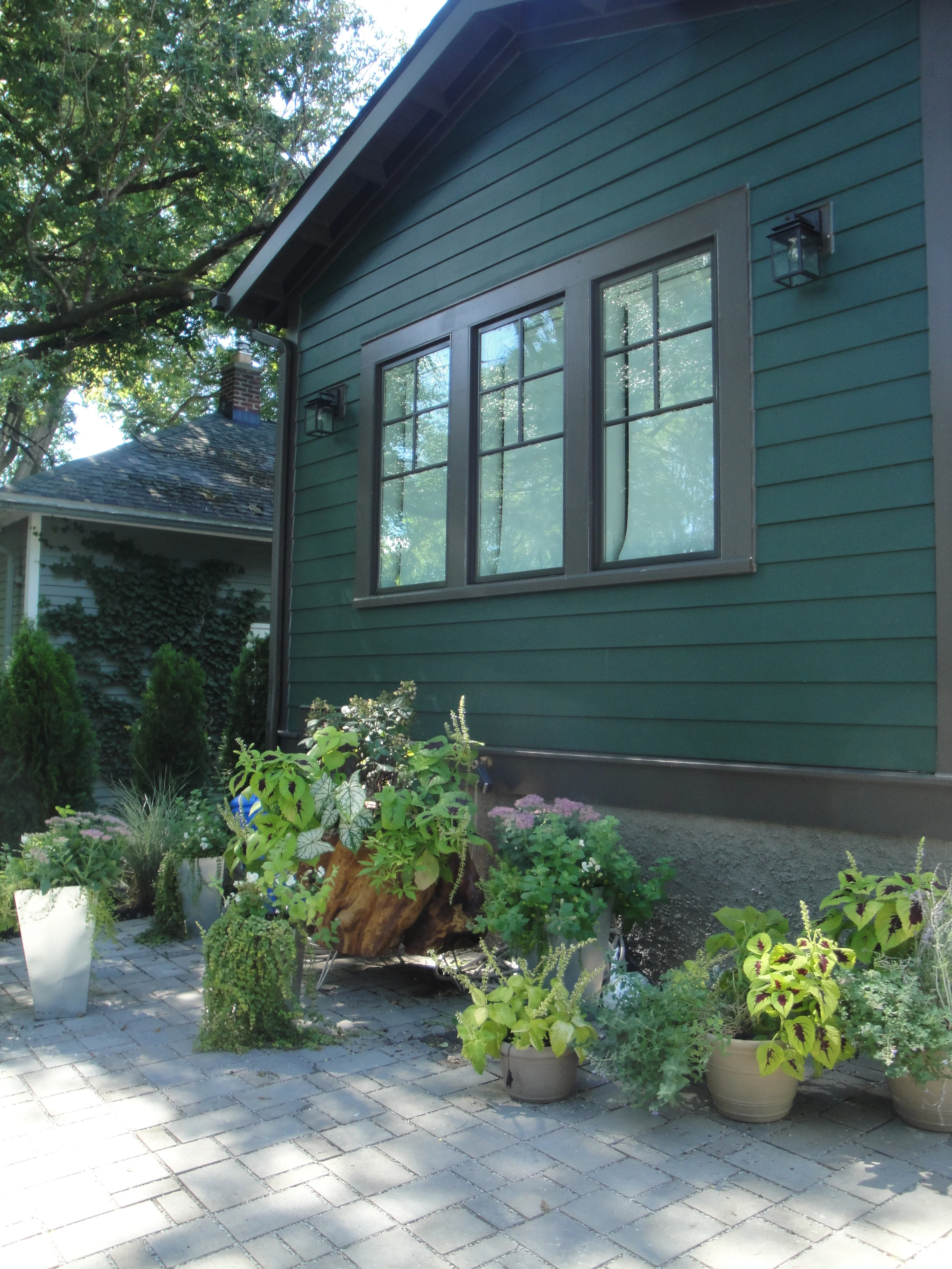 Portfolio — Underwood Nursery