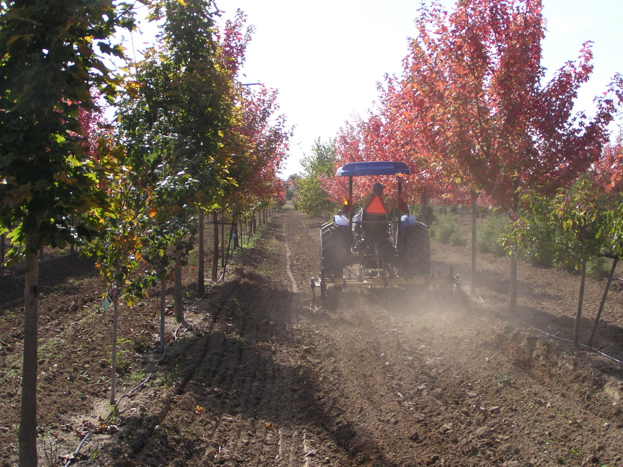 About — Underwood Nursery