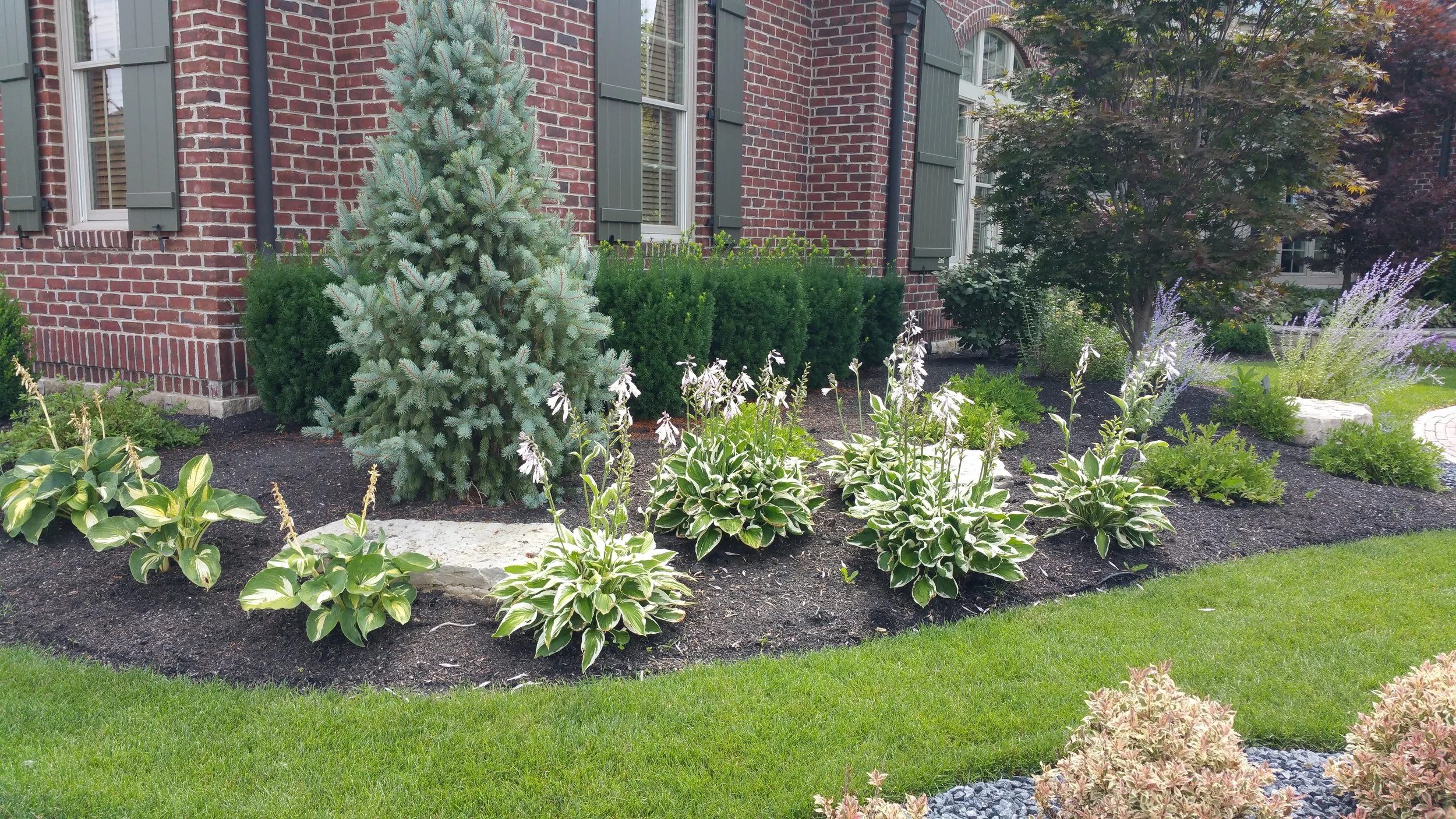 Portfolio — Underwood Nursery