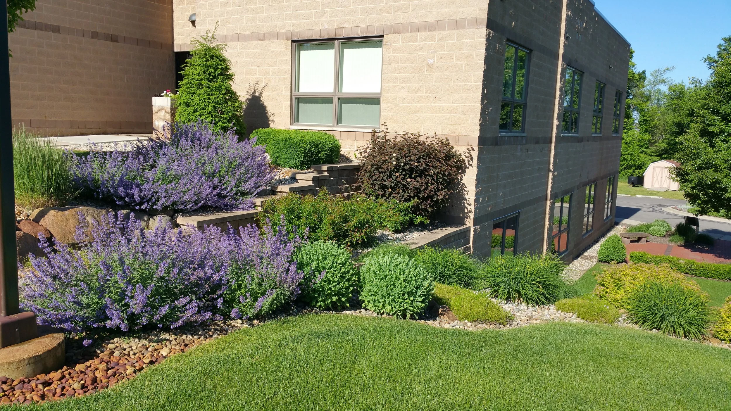 Portfolio — Underwood Nursery