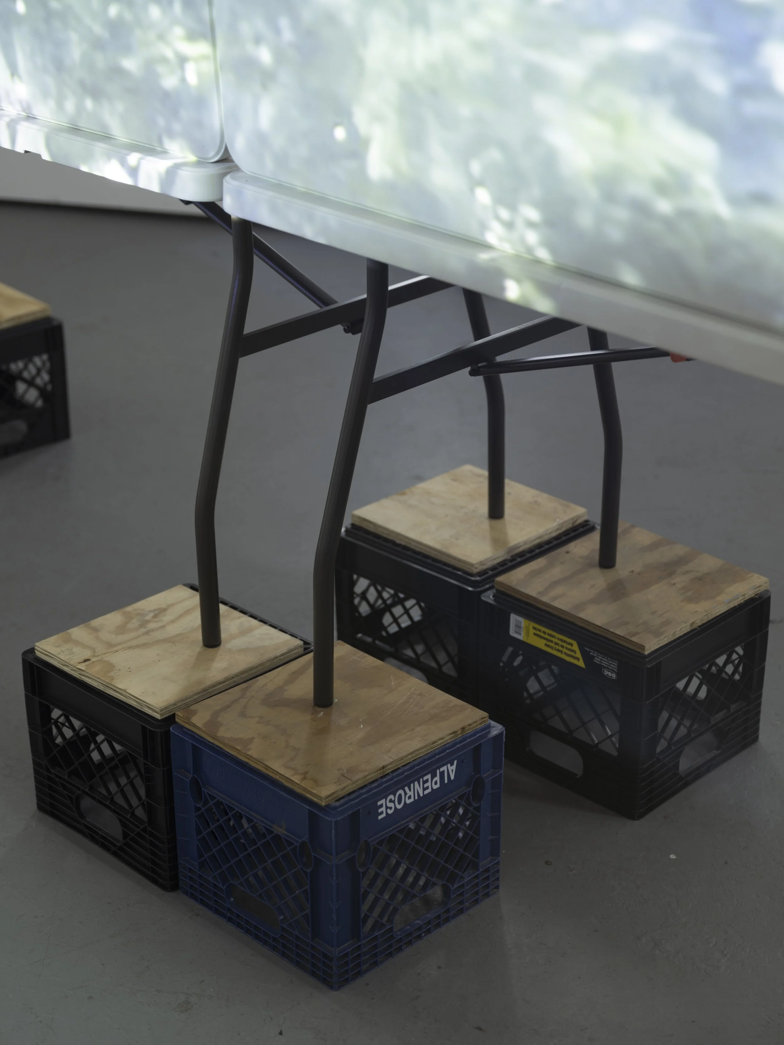 PSLA (15 of 27).jpeg