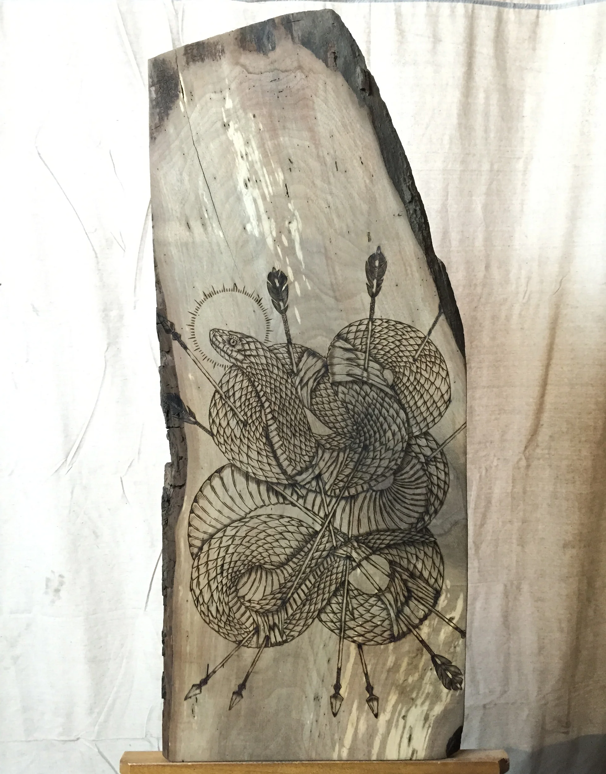 Bull snake & Arrows on pacific soft maple