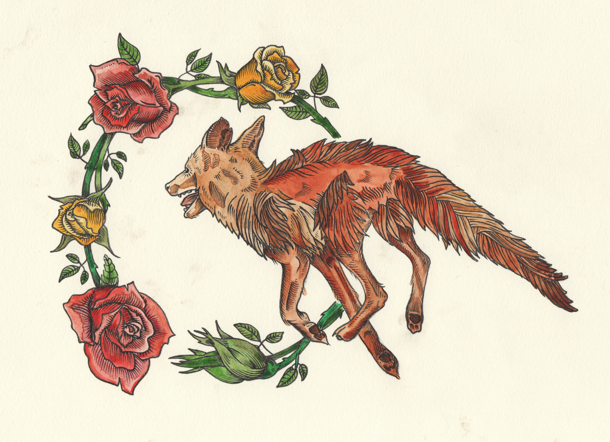 Fox & Roses : ink, graphite & watercolor on drawing paper