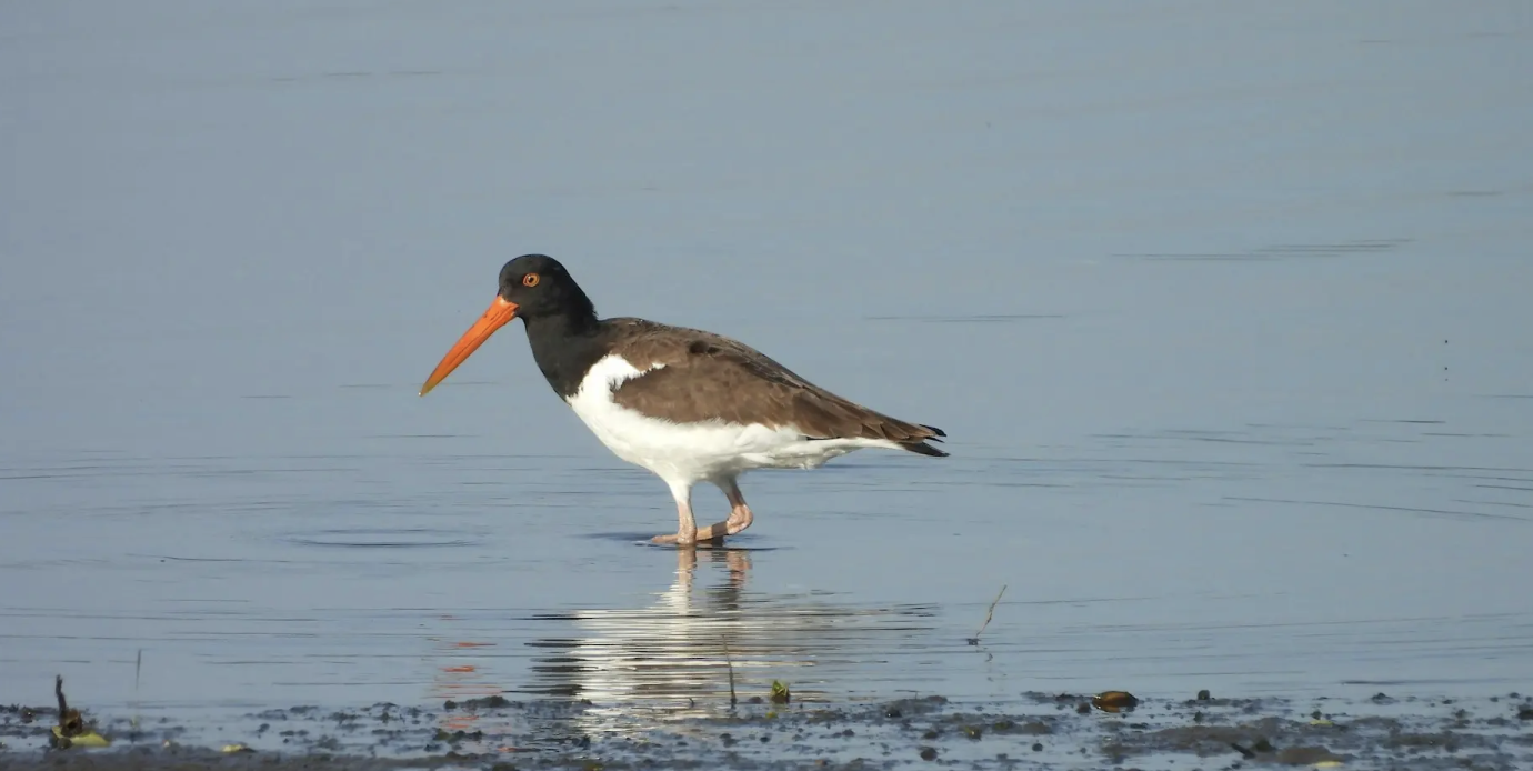 Screenshot 2026-04-01 at 9.19.54 PM.png