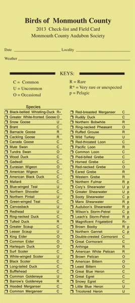 Checklist.jpg
