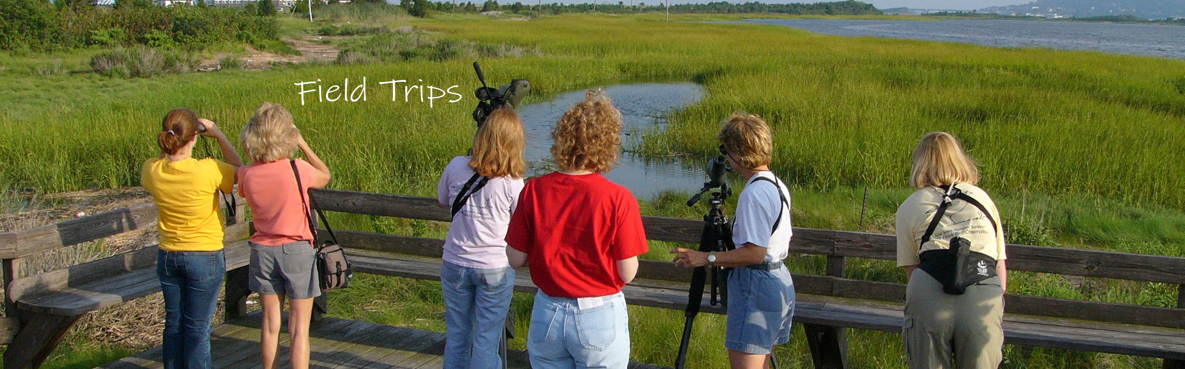 Field Trips.jpg