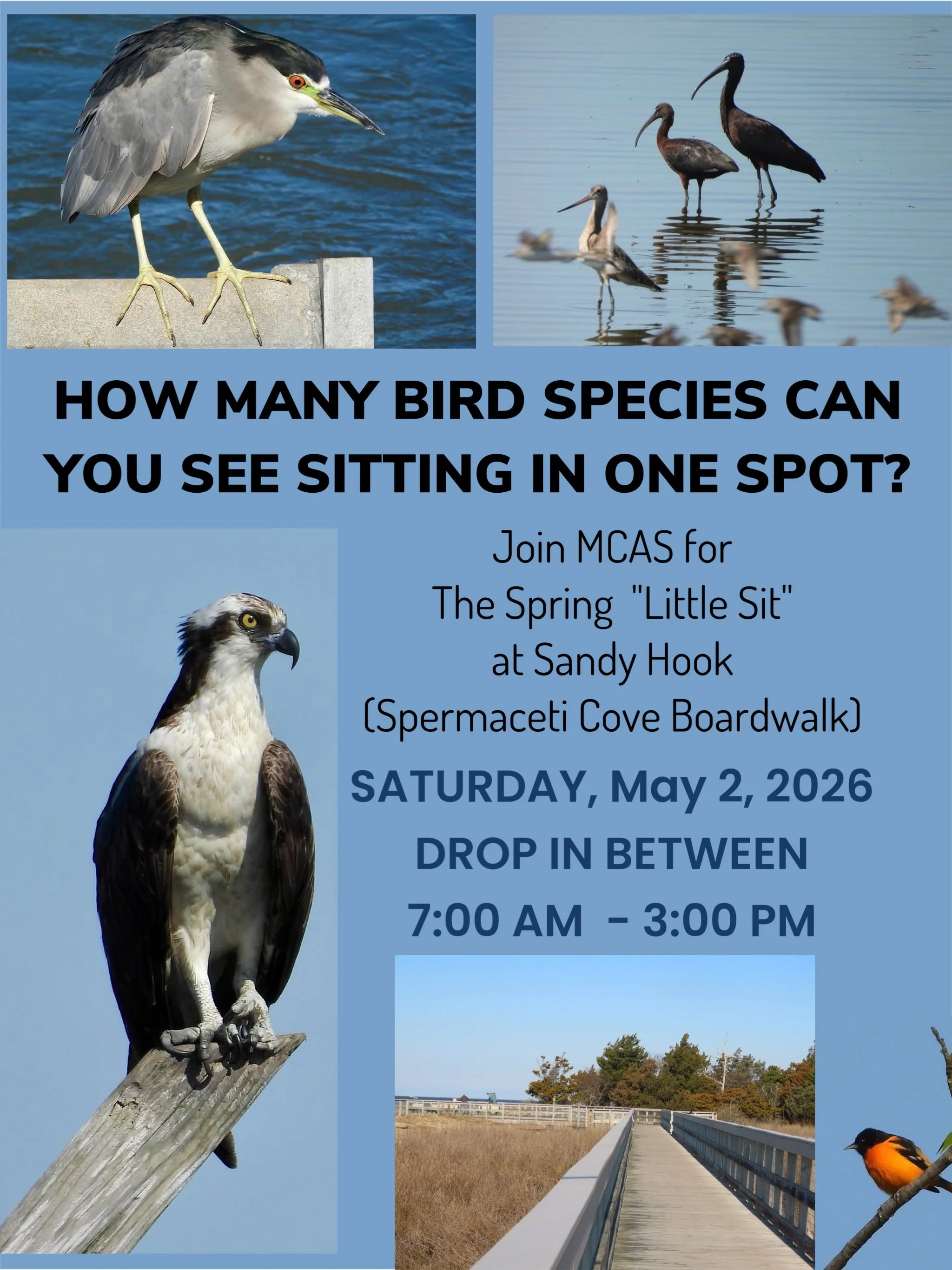 Little Sit May 2026.JPEG