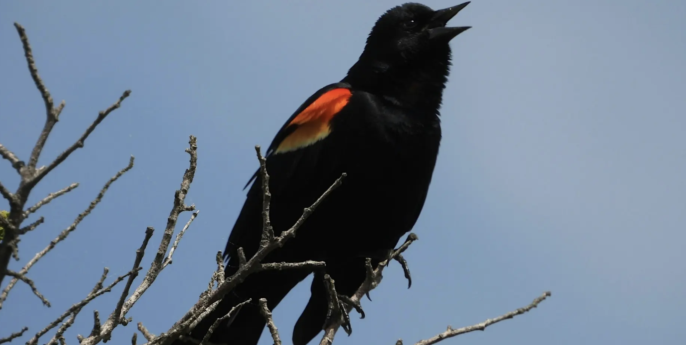 Screenshot 2026-04-01 at 9.16.53 PM.png