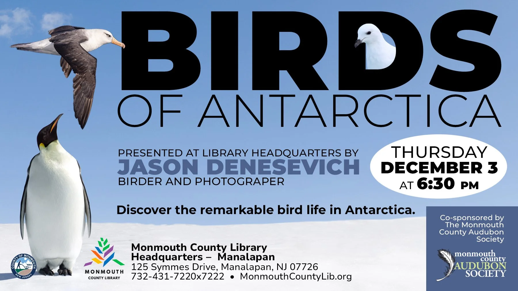 HQ_BirdsAntarctica_Dec26_JPG_TV_FINAL.jpg