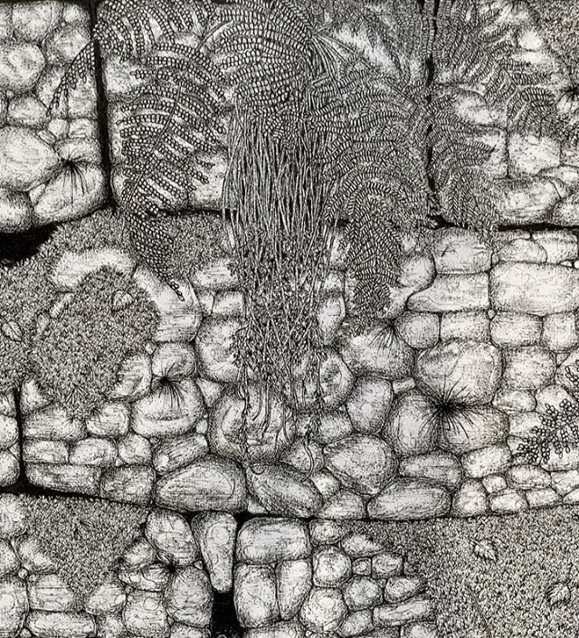 Finished! A relief - new plans are underway, what will be my next illustration? 
@merci_design_net #illustrasjon #pendrawings #pendrawingart #micronpen #norskillustrasjon #danskillustration #naturtegning #naturedrawing #artdrawing #kunstillustration 