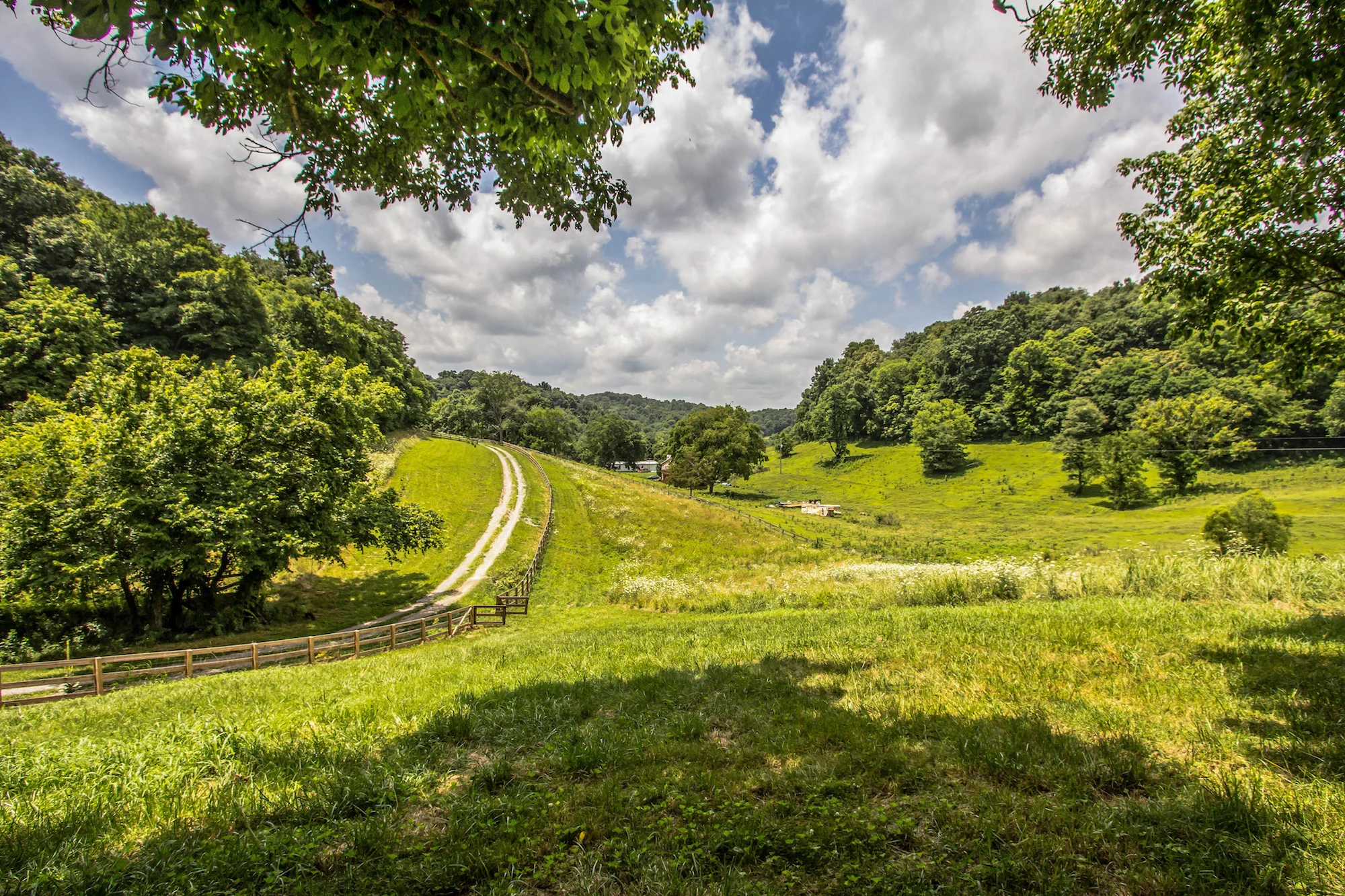 leipers fork.jpg