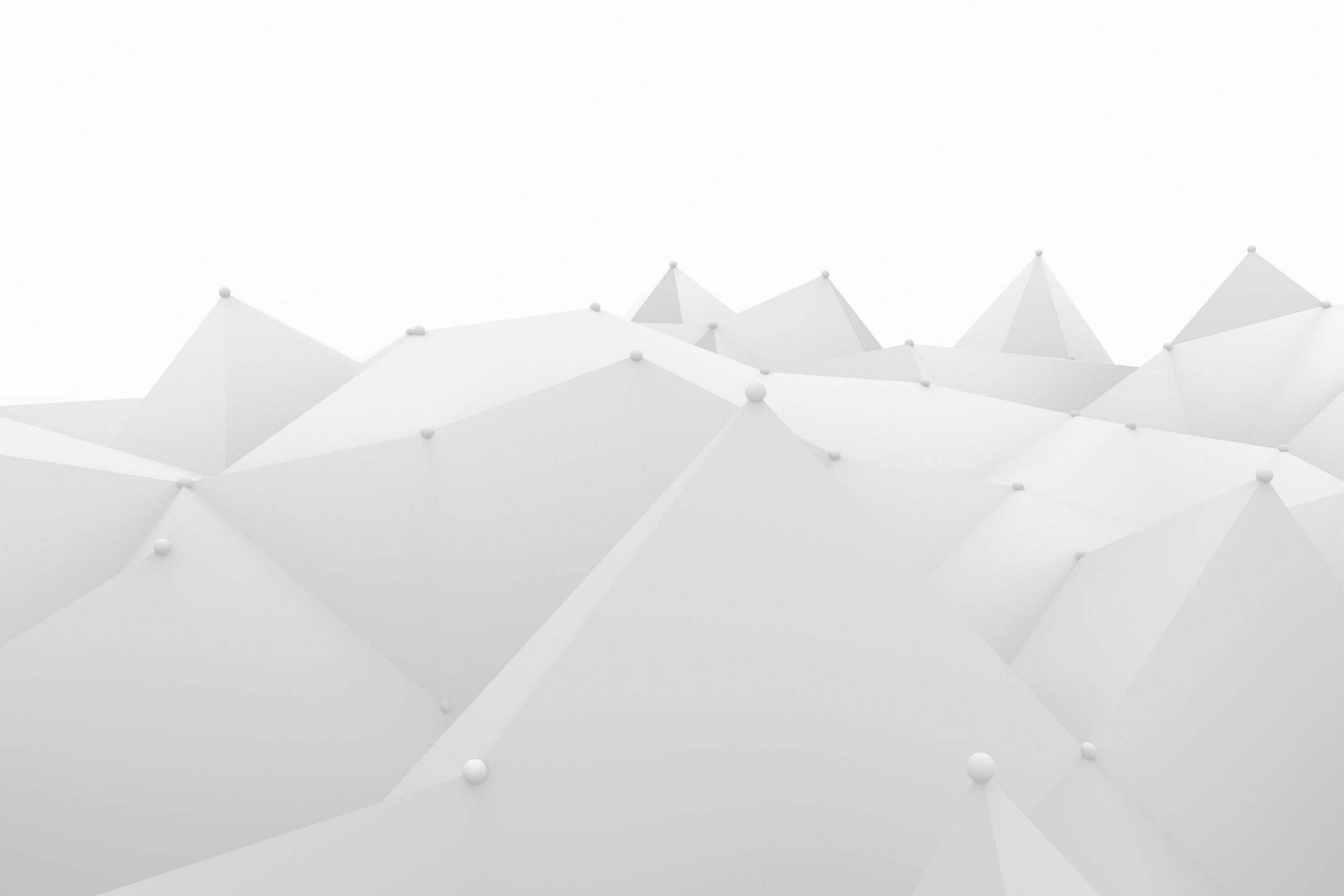 ANEW_01.jpg
