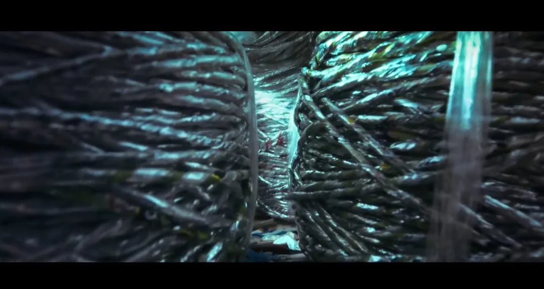 WhatsApp Image 2023-03-27 at 11.11.42 (3).jpeg