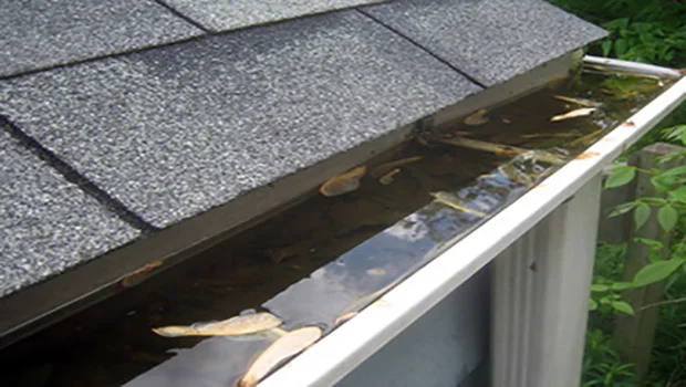 gutter_pooling_water.jpg